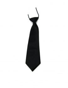 Bruidsjonkers stropdas in de kleur zwart